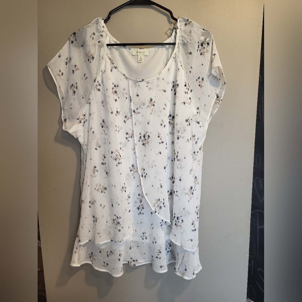 Tamara H-White Floral Blue Women's Blouse, Size 2X